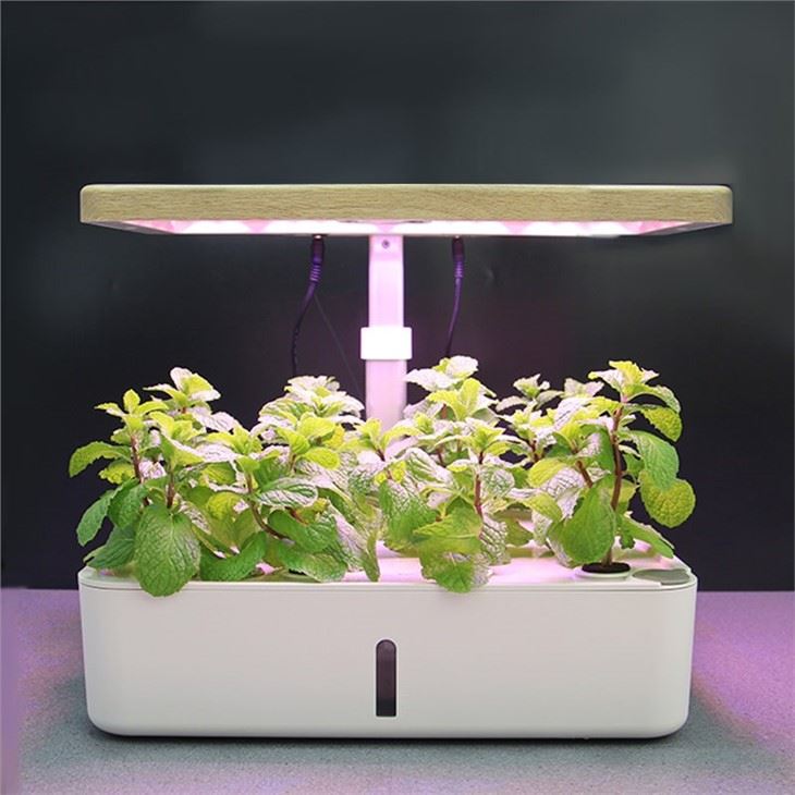 12-sadnja Smart Garden sa LED lampom