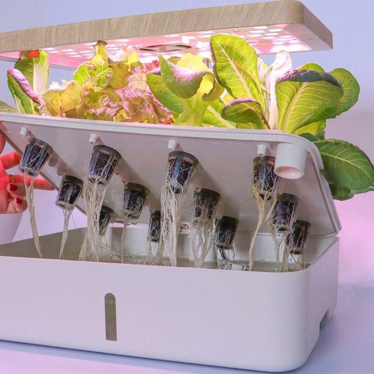 12-planter Smart Garden With LED