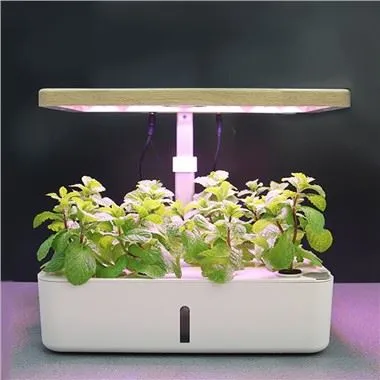 12-sadnja Smart Garden sa LED lampom