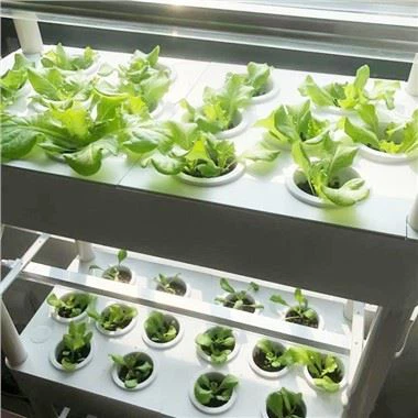 4-slojni hidroponski vrtni komplet sa LED svjetlima